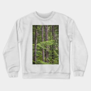 Evergreen Forest - Manning Provincial Park Crewneck Sweatshirt